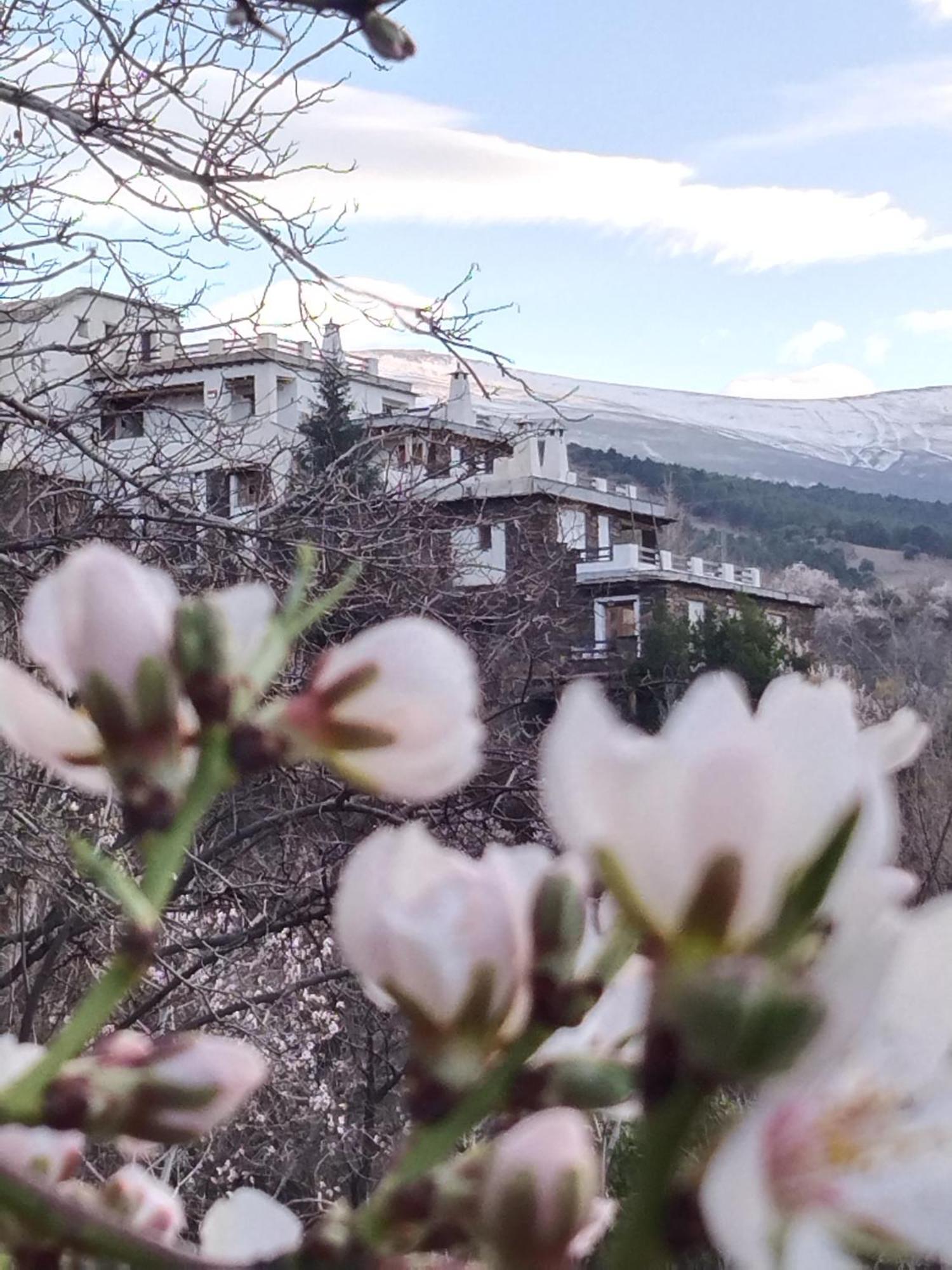 La Posada Del Altozano Lanteira Zewnętrze zdjęcie