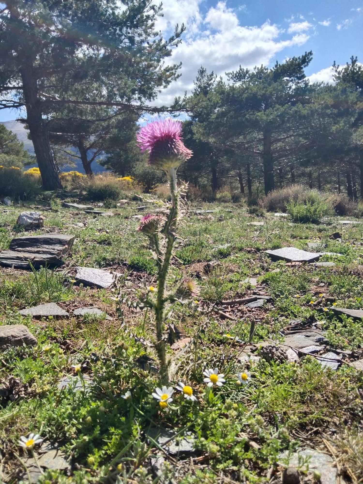 La Posada Del Altozano Lanteira Zewnętrze zdjęcie